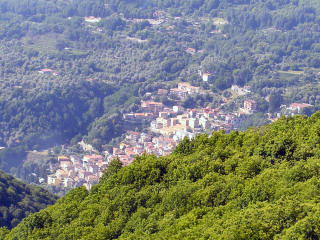 Terracalìa - Calabria rurale