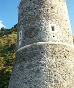 Terracalìa - Calabria rurale