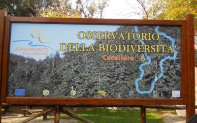 Osservatorio per la Biodiversità