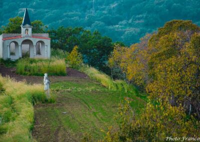 Terracalìa - Calabria rurale