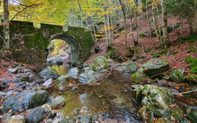 Ponte dell’Albara